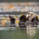 Sea otters are perfect animals.